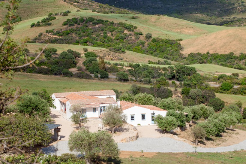 villa althea